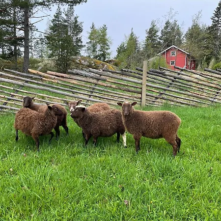 Lomahyppaeys Σαλέ *