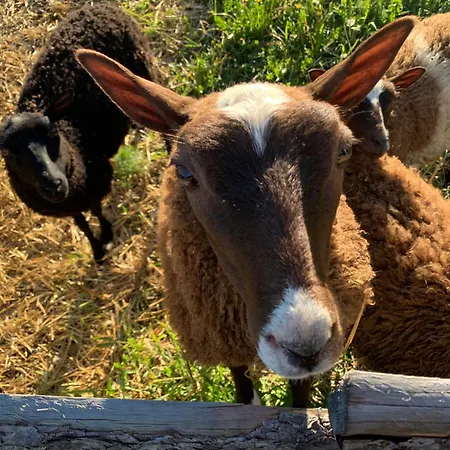 Lomahyppaeys * Naantali