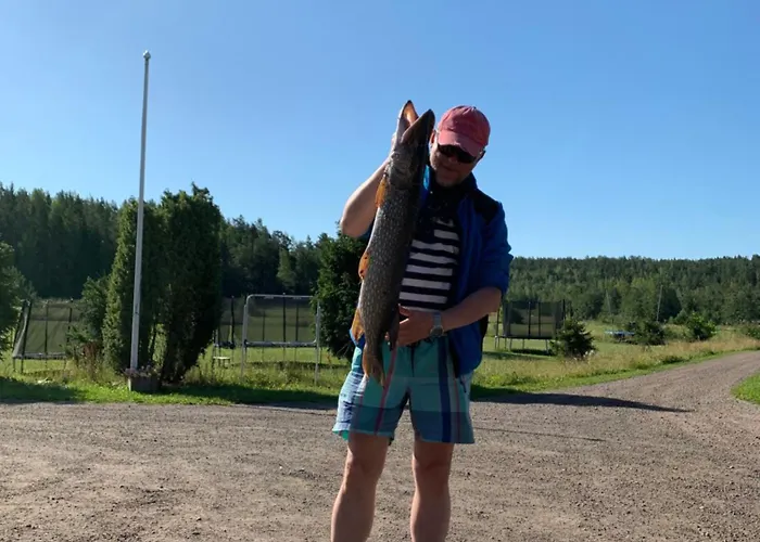 Lomahyppaeys 木屋 *