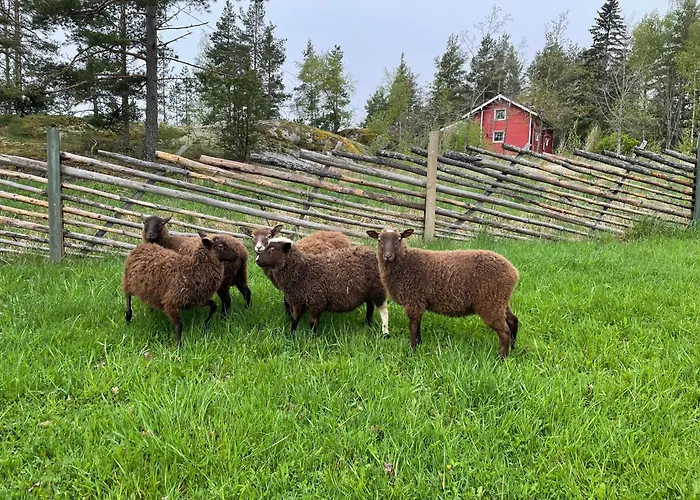 Lomahyppaeys 木屋 *